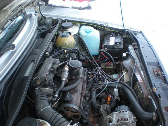 DSCN4250
