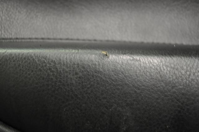 _DSC0360.JPG