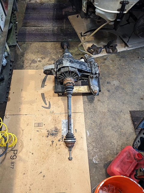 PXL 20240803 204610864