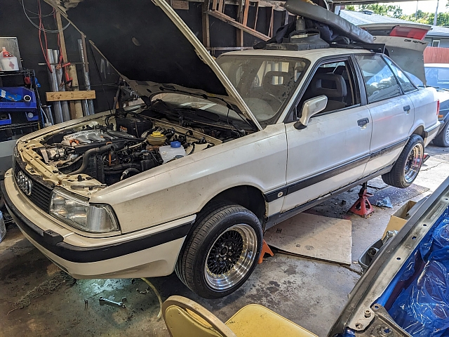 PXL 20241008 162311913