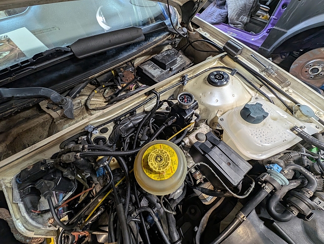 PXL 20241026 211803792