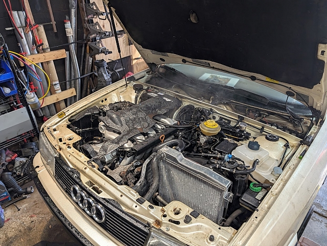 PXL 20241103 160637373