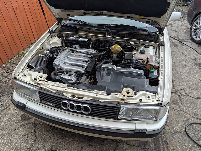 PXL 20241111 181355804