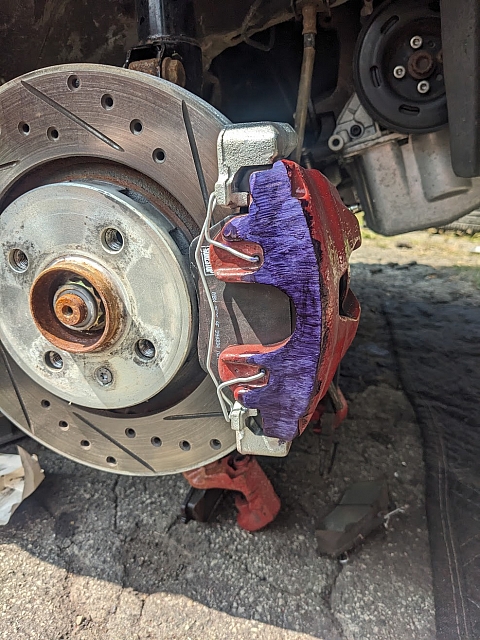 PXL 20240823 155953583