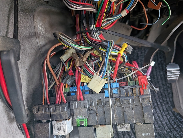 PXL 20250611 141607734