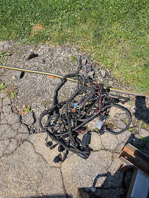 PXL 20250611 145309171