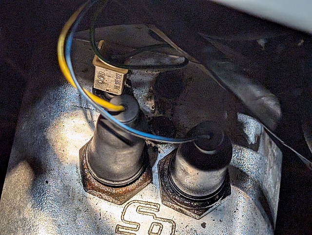 PXL 20250226 175236835