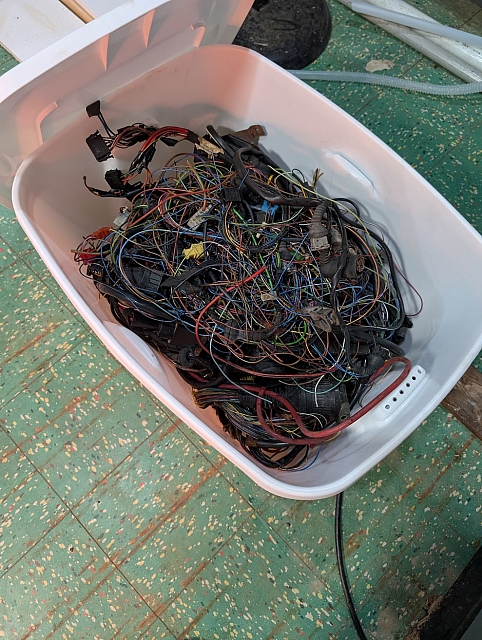 PXL 20250226 215951611