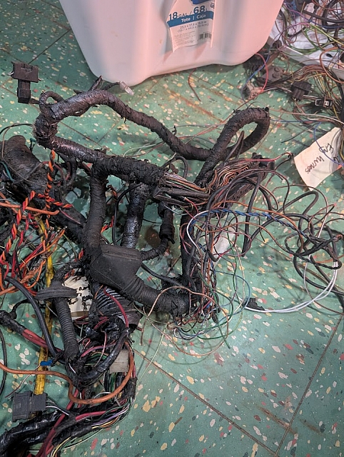 PXL 20250228 173024673