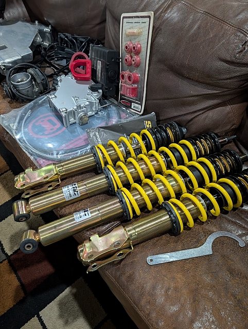 PXL 20250304 163323996