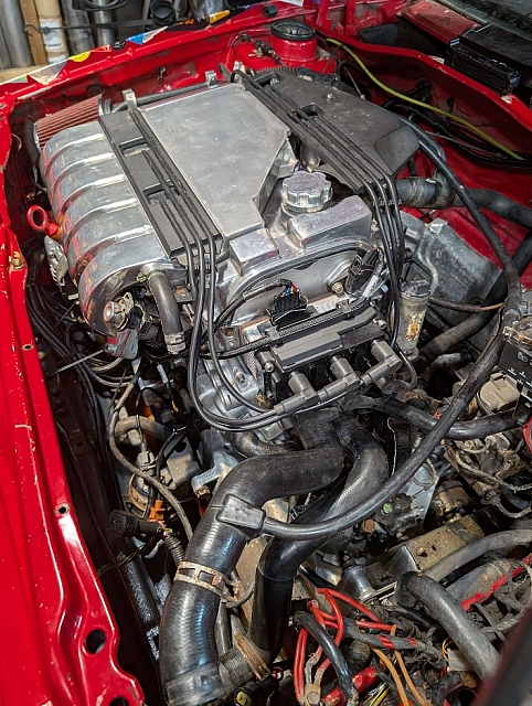 PXL 20250323 202543113