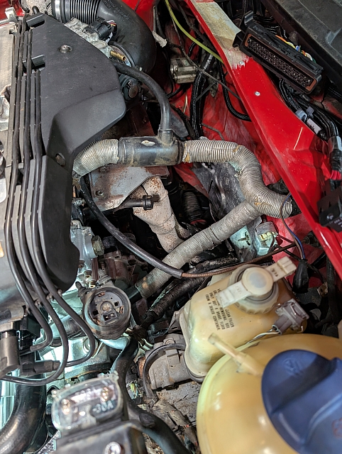 PXL 20250405 225314630