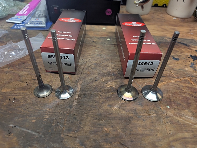 PXL 20250312 125526348