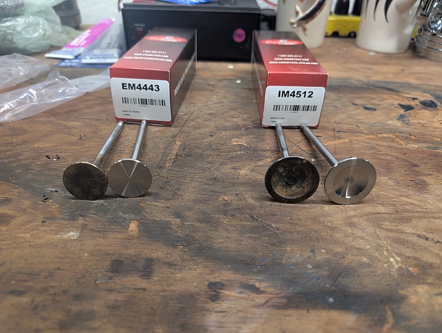 PXL 20250312 125547266