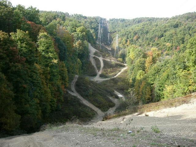 P1010230.JPG