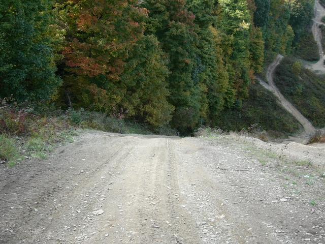 P1010231.JPG