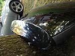 photo (1)