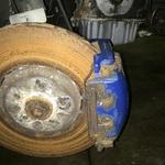 IMG 3964