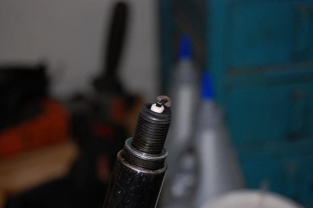 DSC_3285.JPG