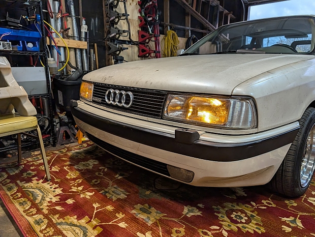 PXL 20241111 205117801