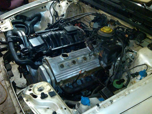 IMG-20110128-00013.jpg