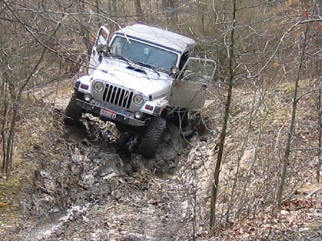 IMG_1303.jpg