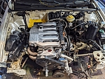 PXL 20240406 204959126