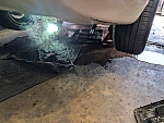 PXL 20241103 160645736