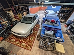PXL 20241111 195638537