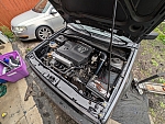 PXL 20250614 201131732