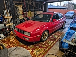 PXL 20250225 224612166