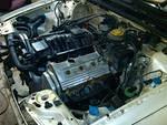 IMG-20110128-00013.jpg