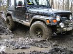 IMG_1290.jpg